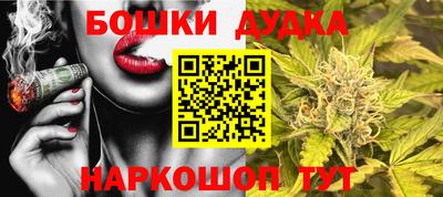 индика Ачхой-Мартан
