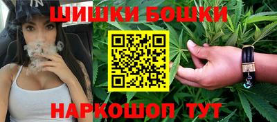 индика Ачхой-Мартан