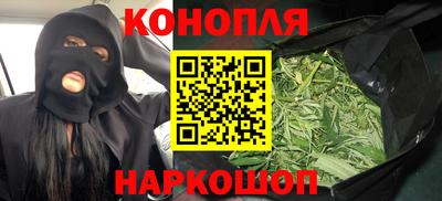 индика Ачхой-Мартан