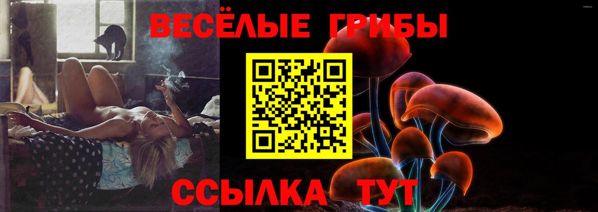 Псилоцибиновые грибы прущие грибы  Псилоцибиновые грибы мицелий  Евпатория  Вход с VPN 